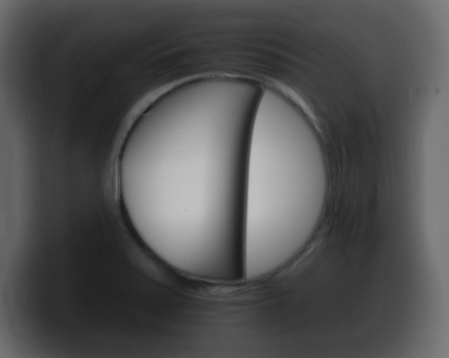 X0000100391371200806060825