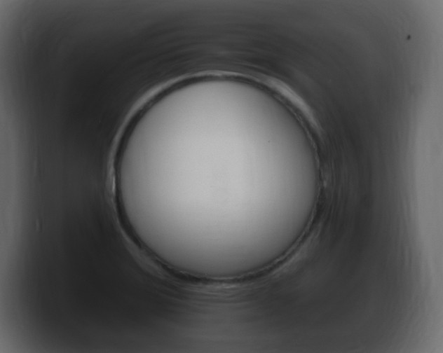 X0000100391372200806060825
