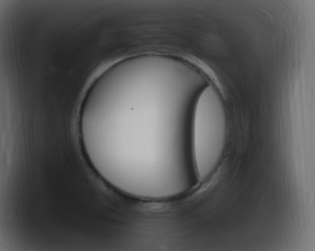 X0000100391373200806060825