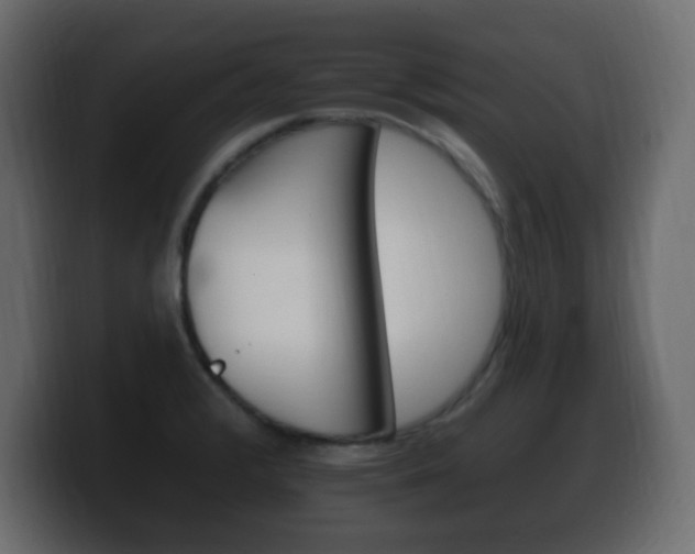 X0000100391376200806060825