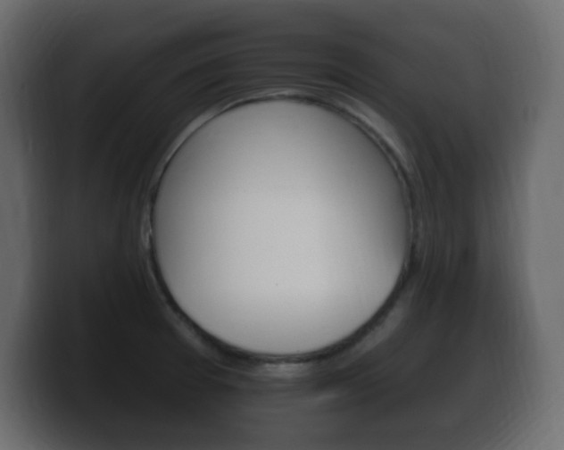 X0000100391377200806060825