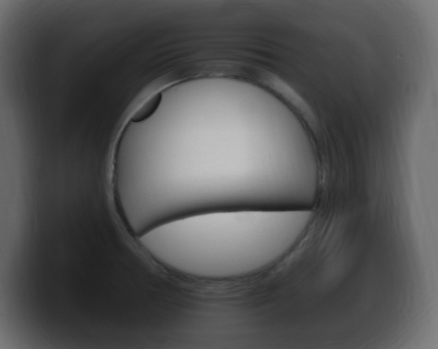 X0000100391378200806060825