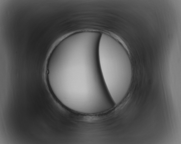 X0000100391379200806060825