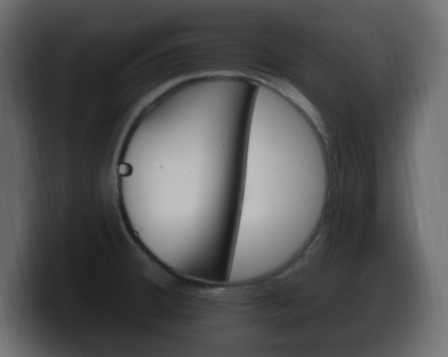 X0000100391380200806060825