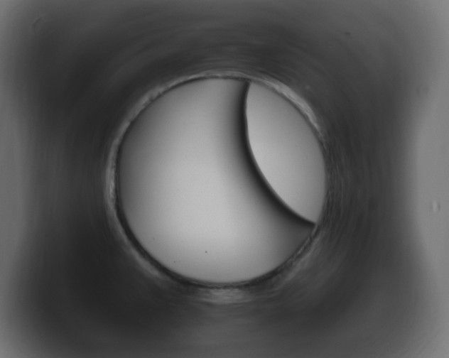 X0000100391383200806060825