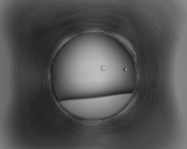 X0000100391385200806060824