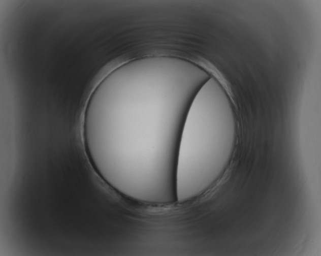 X0000100391386200806060824