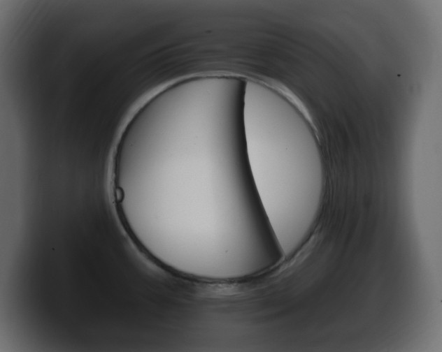 X0000100391387200806060824