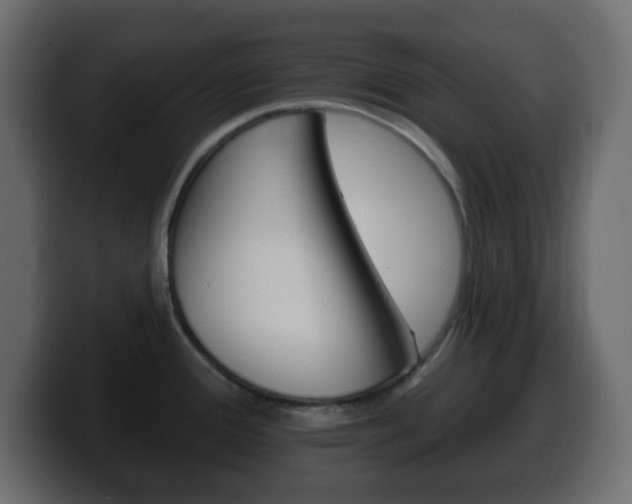 X0000100391388200806060824