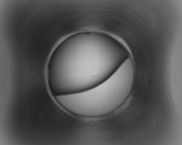 X0000100391389200806060824