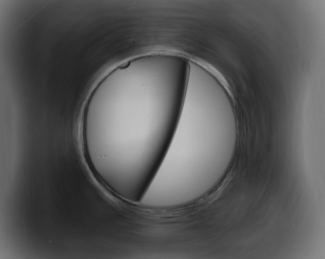 X0000100391391200806060824