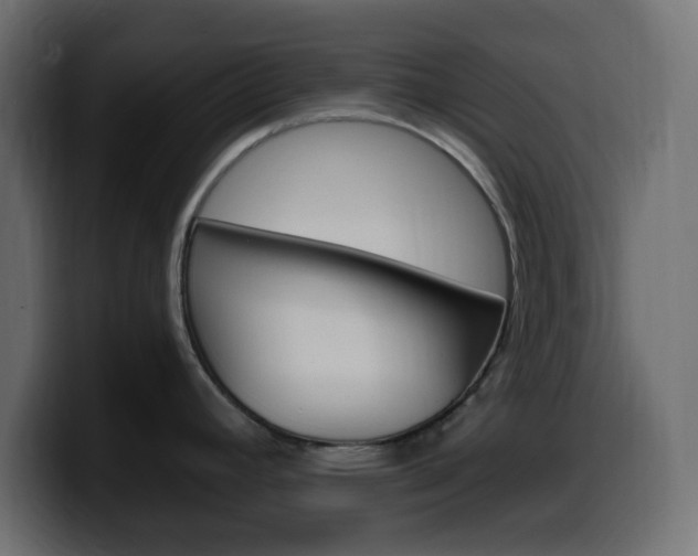 X0000100391392200806060824