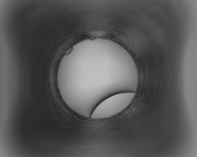 X0000100391393200806060824