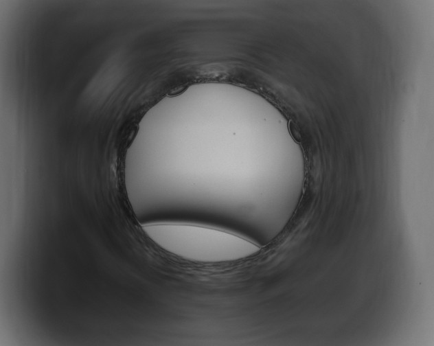 X0000100391394200806060824