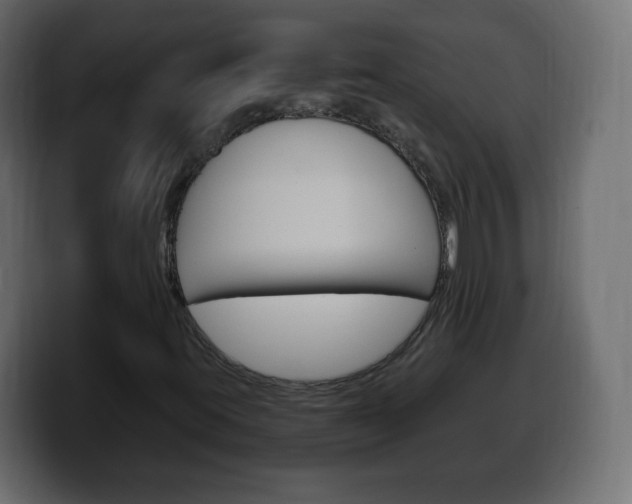 X0000100391395200806060824