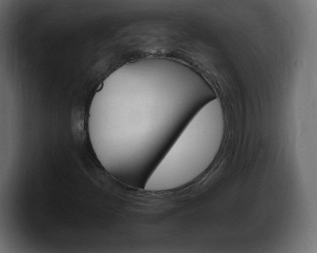 X0000100391396200806060824