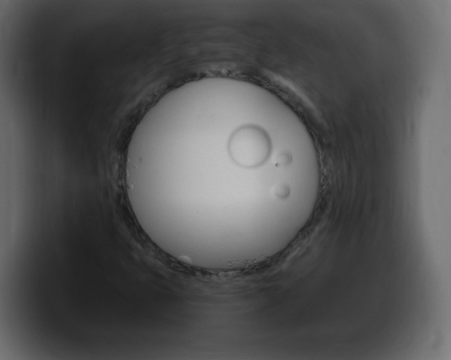 X0000100391399200806060824
