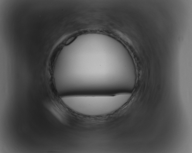 X0000100391400200806060824