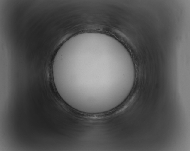 X0000100391401200806060824
