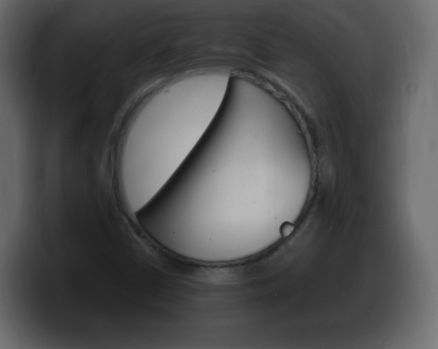X0000100391402200806060824
