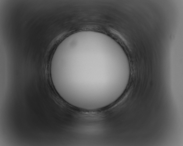 X0000100391403200806060824