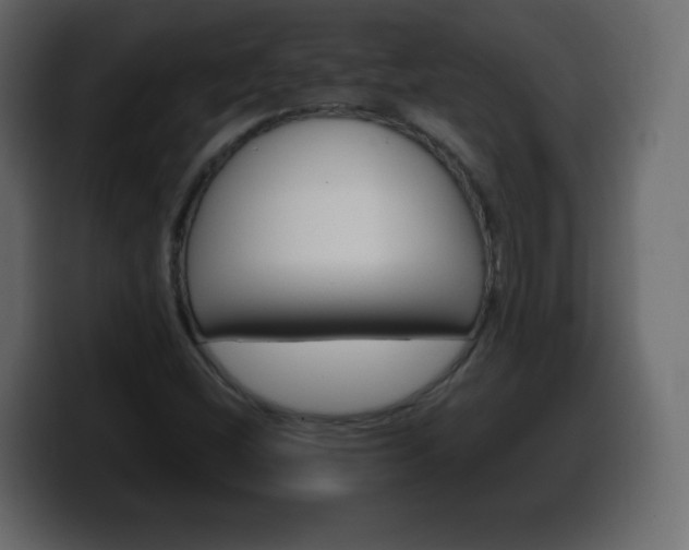 X0000100391404200806060824