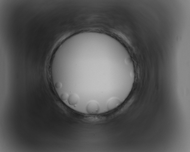 X0000100391405200806060824