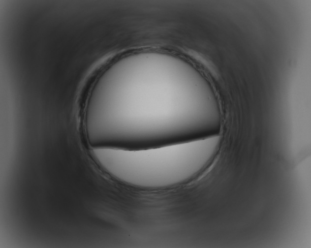 X0000100391406200806060824