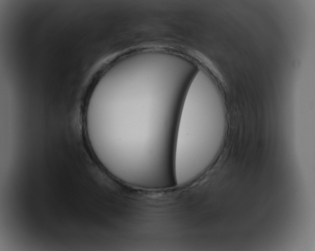 X0000100391408200806060824