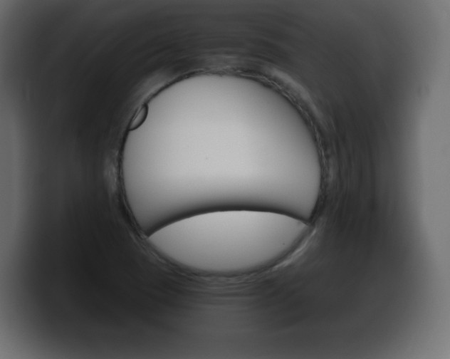 X0000100391409200806060824