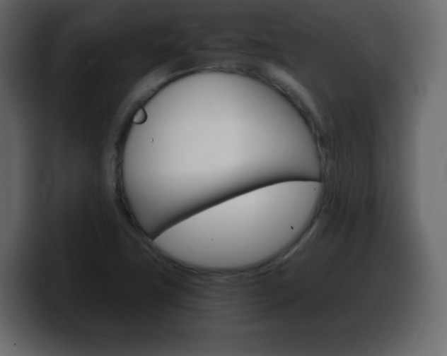 X0000100391411200806060824