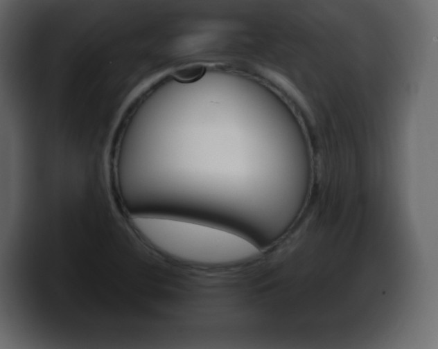 X0000100391412200806060824