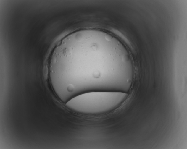 X0000100391413200806060824