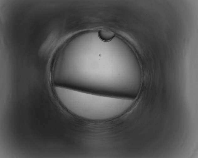 X0000100391414200806060824