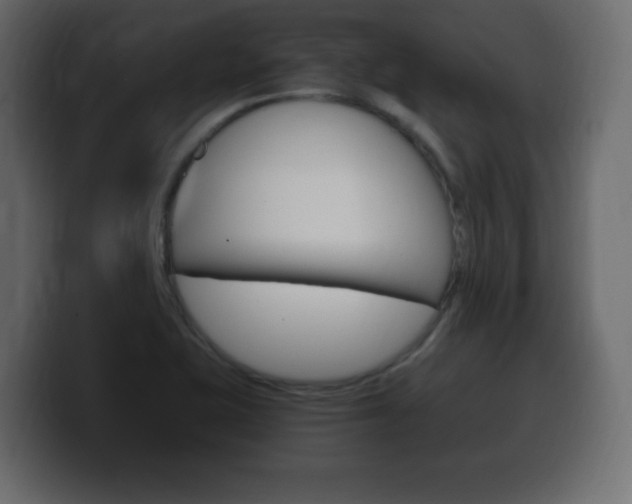X0000100391415200806060824