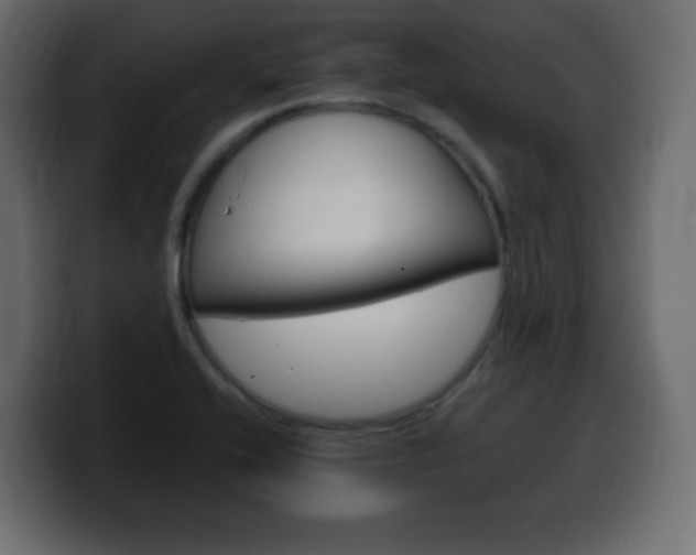 X0000100391416200806060824