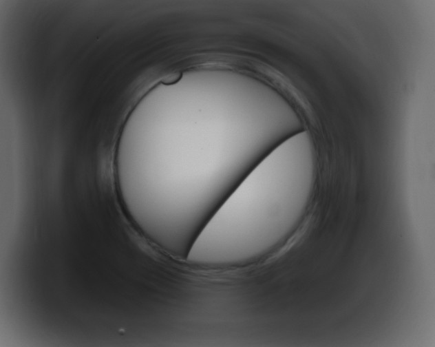 X0000100391417200806060824
