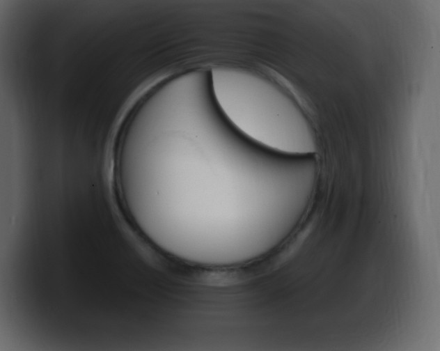 X0000100391418200806060824