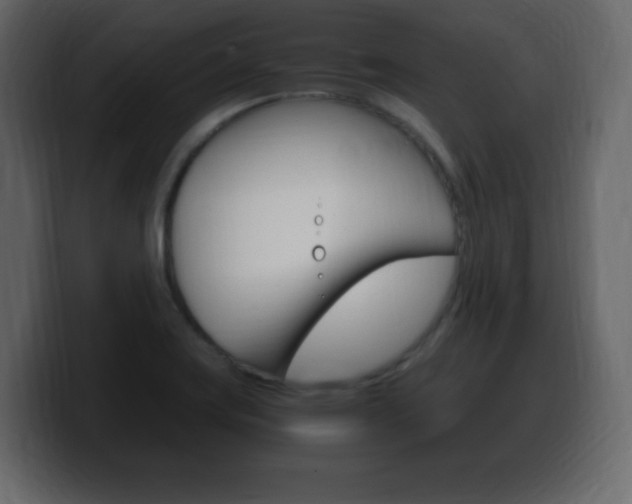 X0000100391419200806060824