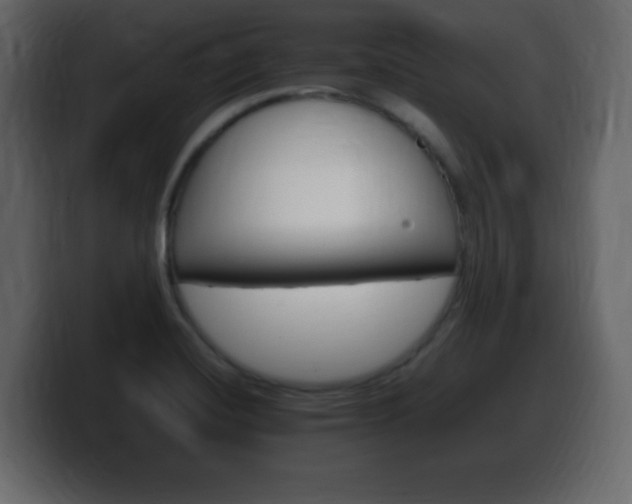 X0000100391420200806060824