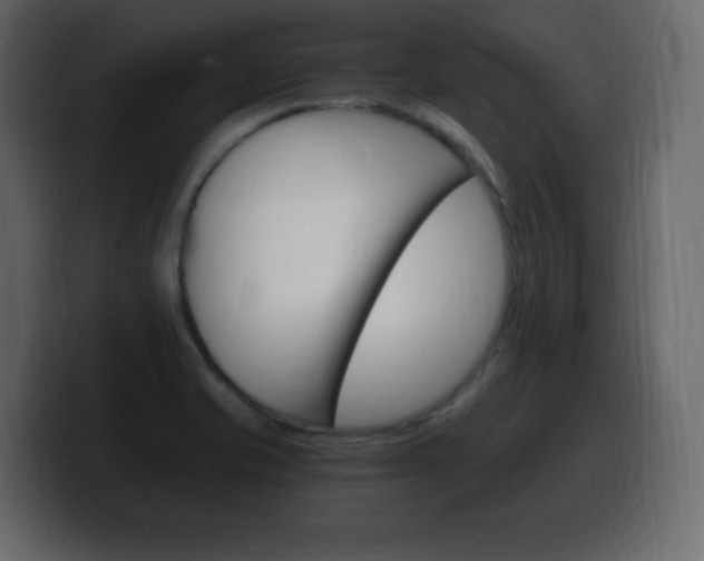X0000100391421200806060824