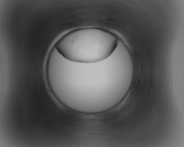 X0000100391422200806060824
