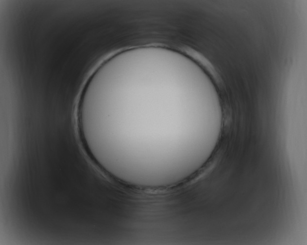 X0000100391423200806060824