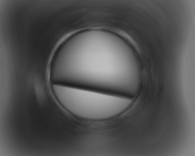 X0000100391424200806060824