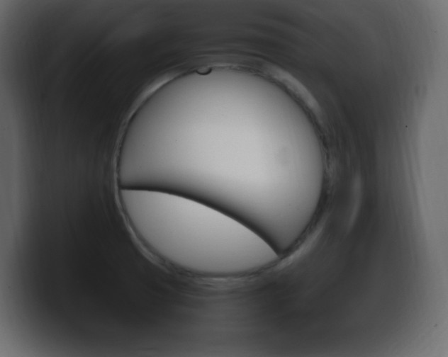 X0000100391425200806060824