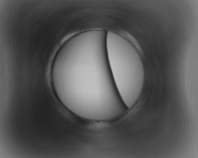 X0000100391427200806060824