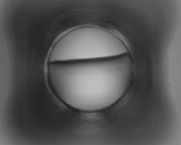 X0000100391428200806060824