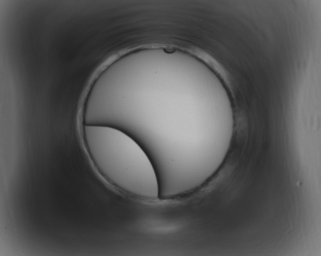 X0000100391429200806060824