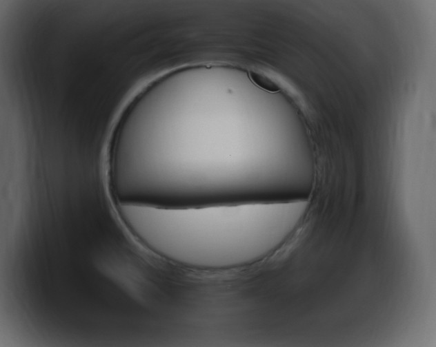 X0000100391430200806060824
