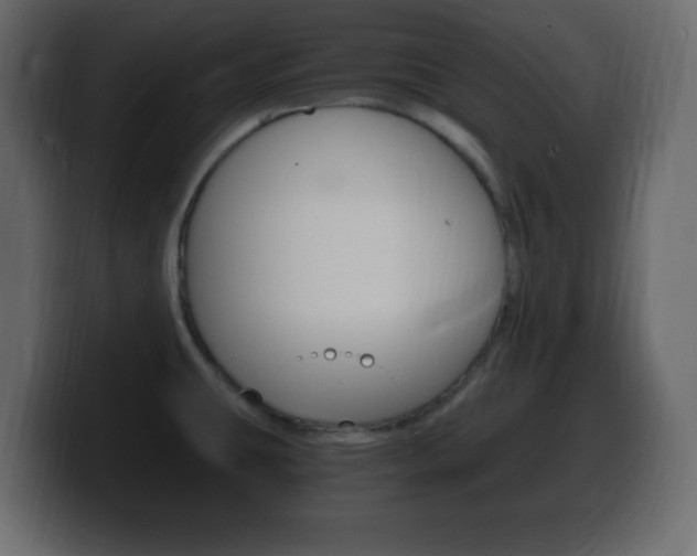 X0000100391431200806060824